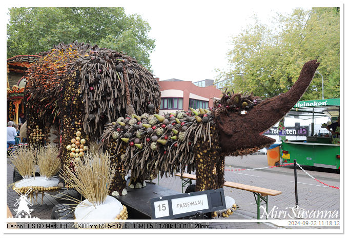 Fruitcorso Tiel 2024 IMG_1133