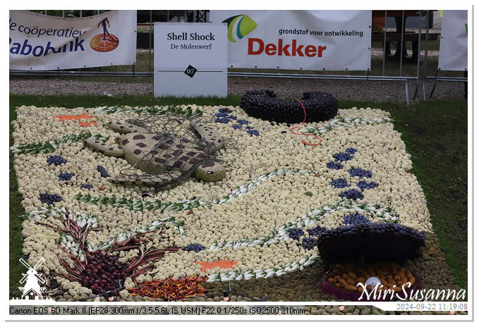 Fruitcorso Tiel 2024 IMG_1135