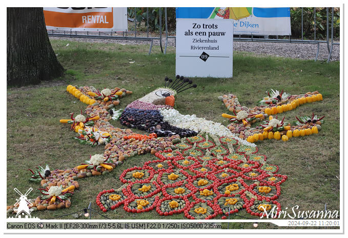 Fruitcorso Tiel 2024 IMG_1139