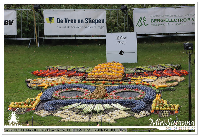 Fruitcorso Tiel 2024 IMG_1143