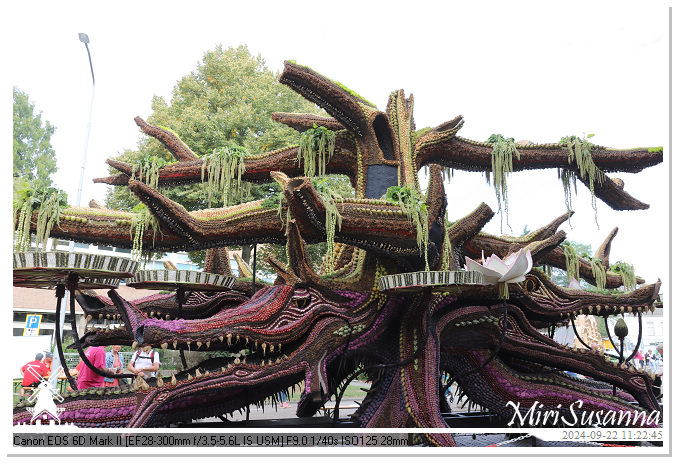 Fruitcorso Tiel 2024 IMG_1145