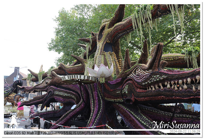 Fruitcorso Tiel 2024 IMG_1153