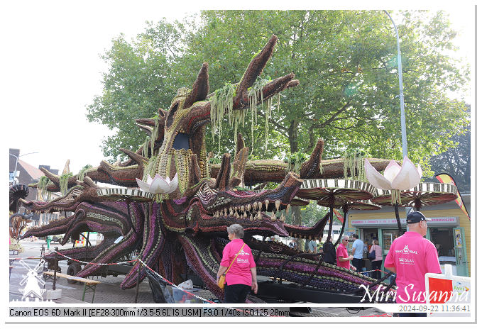 Fruitcorso Tiel 2024 IMG_1154