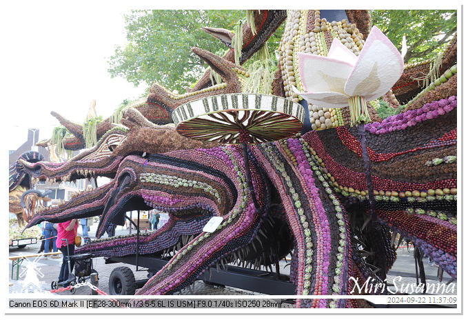 Fruitcorso Tiel 2024 IMG_1156