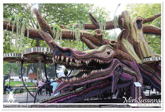 Fruitcorso Tiel 2024 IMG_1157