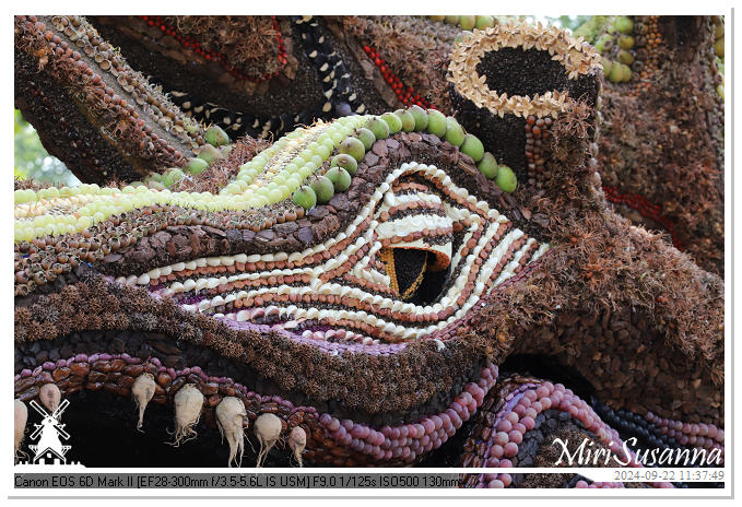 Fruitcorso Tiel 2024 IMG_1158