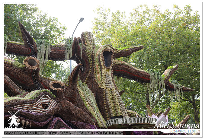 Fruitcorso Tiel 2024 IMG_1159