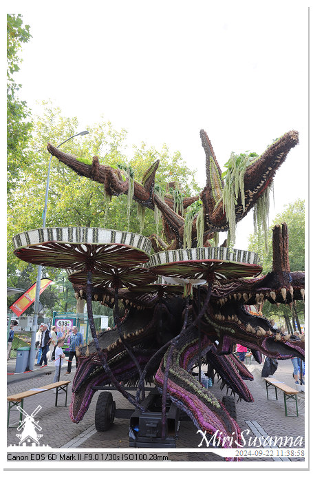 Fruitcorso Tiel 2024 IMG_1161