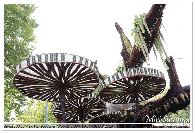 Fruitcorso Tiel 2024 IMG_1162