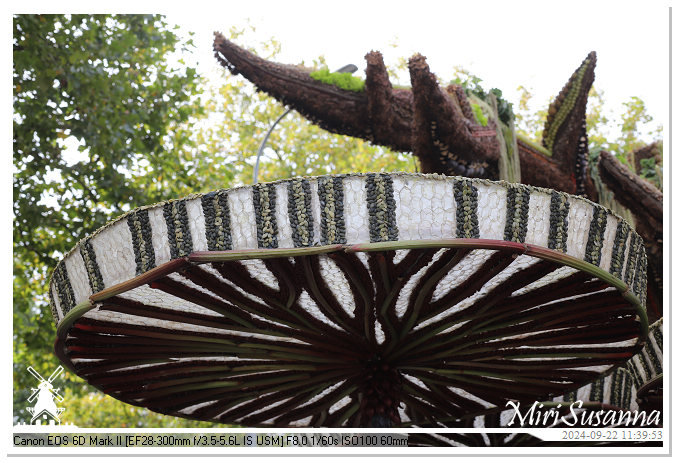 Fruitcorso Tiel 2024 IMG_1164