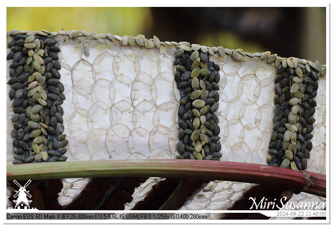 Fruitcorso Tiel 2024 IMG_1165