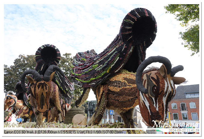 Fruitcorso Tiel 2024 IMG_1172@MiriSusanna CC-BY-NC-ND Fruitcorso Tiel 2024 IMG_1172