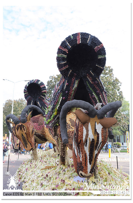 Fruitcorso Tiel 2024 IMG_1173@MiriSusanna CC-BY-NC-ND Fruitcorso Tiel 2024 IMG_1173