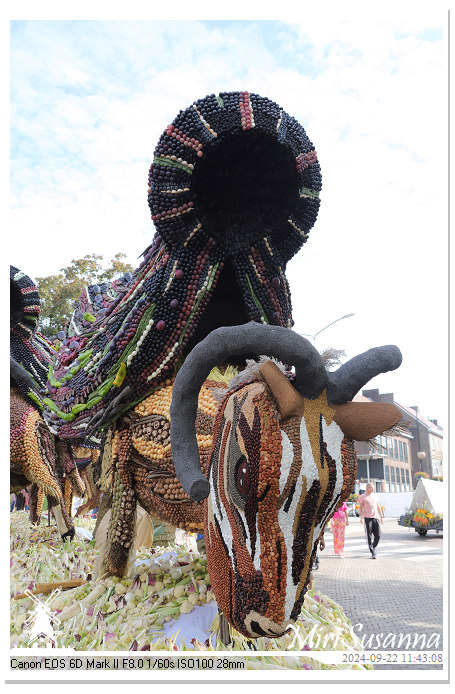 Fruitcorso Tiel 2024 IMG_1175@MiriSusanna CC-BY-NC-ND Fruitcorso Tiel 2024 IMG_1175