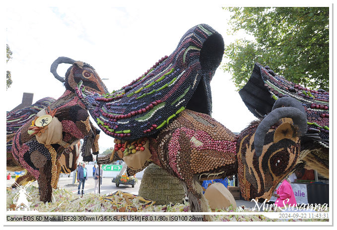 Fruitcorso Tiel 2024 IMG_1176@MiriSusanna CC-BY-NC-ND Fruitcorso Tiel 2024 IMG_1176