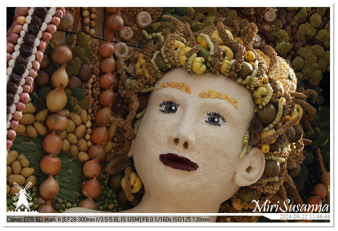 Fruitcorso Tiel 2024 IMG_1185@MiriSusanna CC-BY-NC-ND Fruitcorso Tiel 2024 IMG_1185