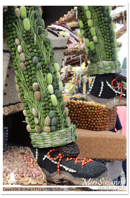 Fruitcorso Tiel 2024 IMG_1220@MiriSusanna CC-BY-NC-ND Fruitcorso Tiel 2024 IMG_1220