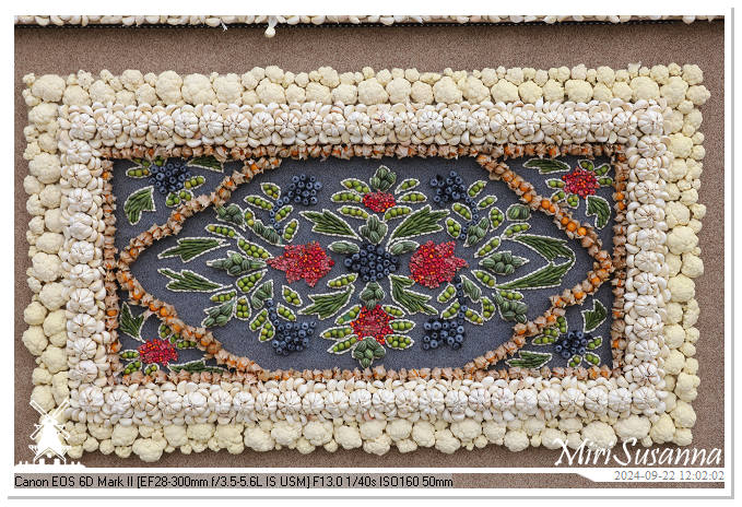 Fruitcorso Tiel 2024 IMG_1222@MiriSusanna CC-BY-NC-ND Fruitcorso Tiel 2024 IMG_1222