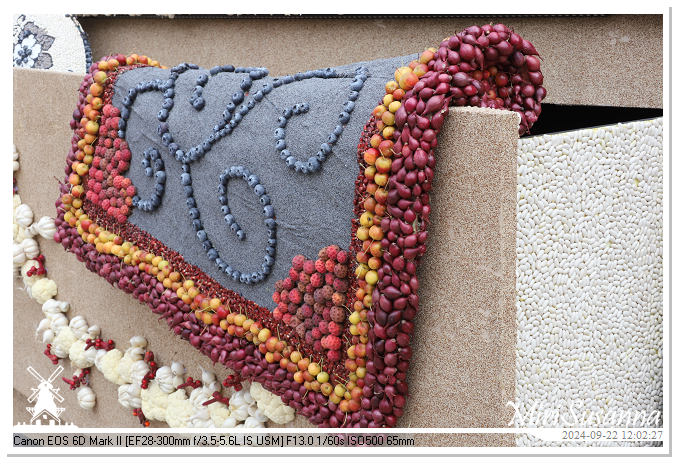 Fruitcorso Tiel 2024 IMG_1224@MiriSusanna CC-BY-NC-ND Fruitcorso Tiel 2024 IMG_1224