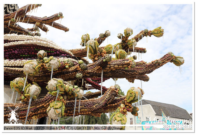 Fruitcorso Tiel 2024 IMG_1235@MiriSusanna CC-BY-NC-ND Fruitcorso Tiel 2024 IMG_1235
