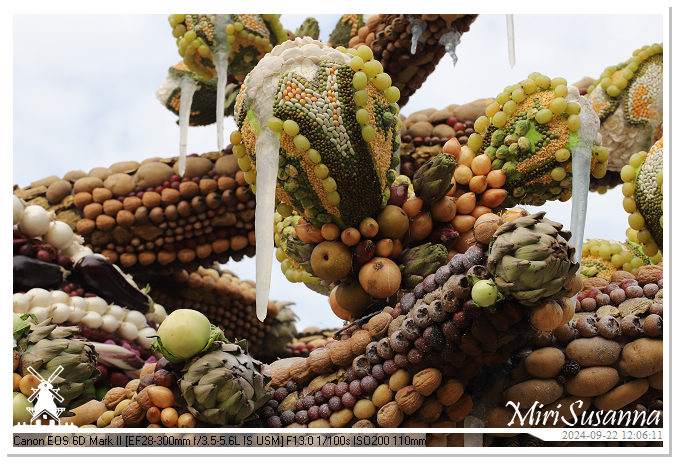 Fruitcorso Tiel 2024 IMG_1236@MiriSusanna CC-BY-NC-ND Fruitcorso Tiel 2024 IMG_1236