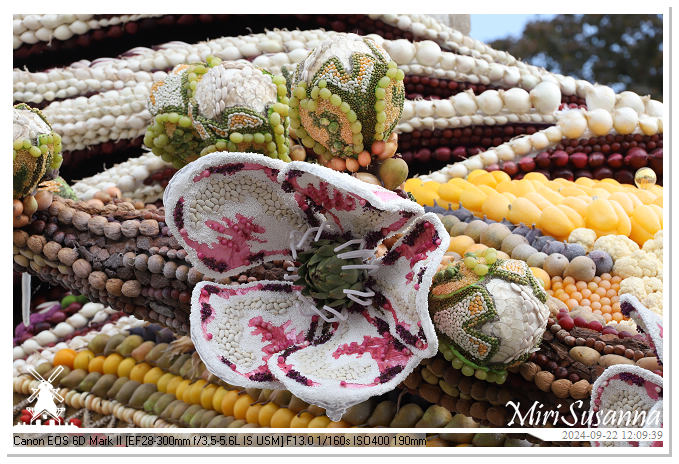 Fruitcorso Tiel 2024 IMG_1244@MiriSusanna CC-BY-NC-ND Fruitcorso Tiel 2024 IMG_1244