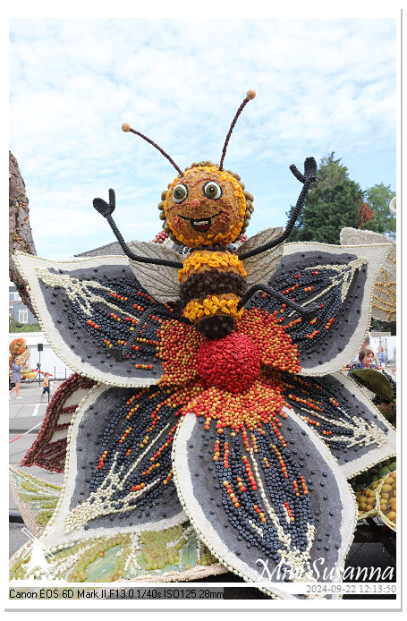 Fruitcorso Tiel 2024 IMG_1257@MiriSusanna CC-BY-NC-ND Fruitcorso Tiel 2024 IMG_1257