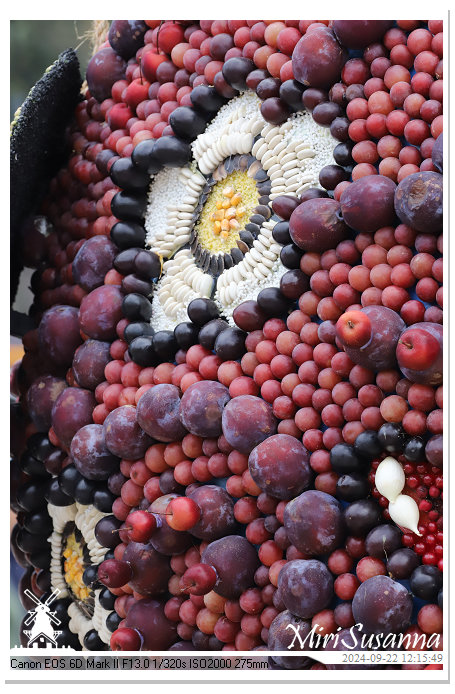 Fruitcorso Tiel 2024 IMG_1263@MiriSusanna CC-BY-NC-ND Fruitcorso Tiel 2024 IMG_1263