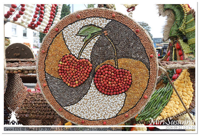 Fruitcorso Tiel 2024 IMG_1268@MiriSusanna CC-BY-NC-ND Fruitcorso Tiel 2024 IMG_1268