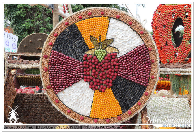 Fruitcorso Tiel 2024 IMG_1273@MiriSusanna CC-BY-NC-ND Fruitcorso Tiel 2024 IMG_1273