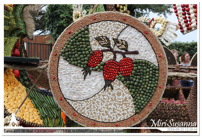 Fruitcorso Tiel 2024 IMG_1274@MiriSusanna CC-BY-NC-ND Fruitcorso Tiel 2024 IMG_1274