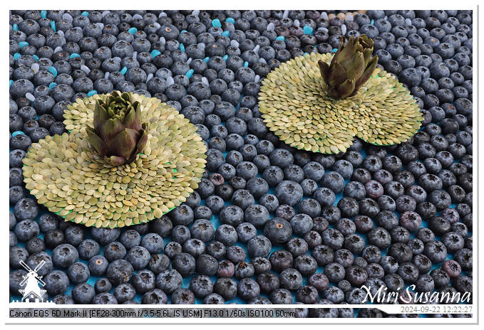 Fruitcorso Tiel 2024 IMG_1282@MiriSusanna CC-BY-NC-ND Fruitcorso Tiel 2024 IMG_1282