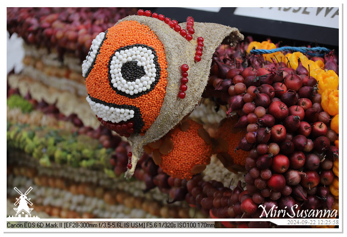 Fruitcorso Tiel 2024 IMG_1294@MiriSusanna CC-BY-NC-ND Fruitcorso Tiel 2024 IMG_1294