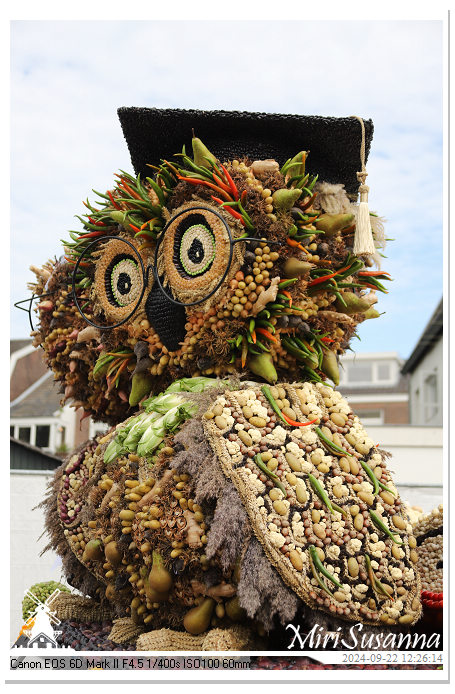 Fruitcorso Tiel 2024 IMG_1295@MiriSusanna CC-BY-NC-ND Fruitcorso Tiel 2024 IMG_1295