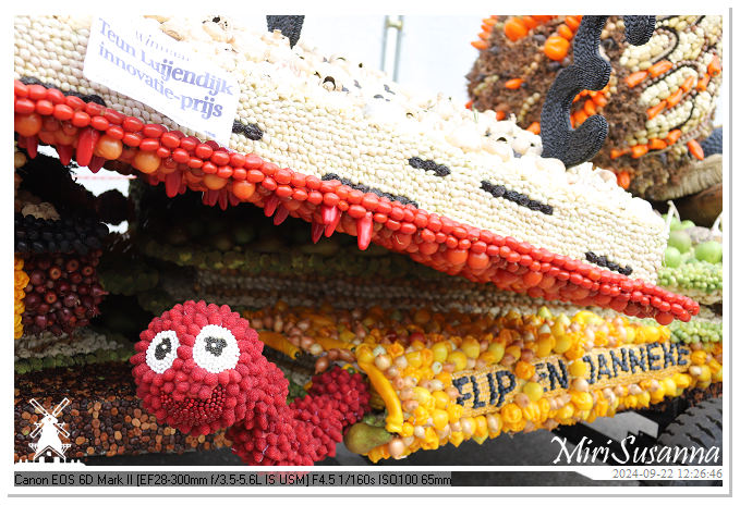 Fruitcorso Tiel 2024 IMG_1298@MiriSusanna CC-BY-NC-ND Fruitcorso Tiel 2024 IMG_1298