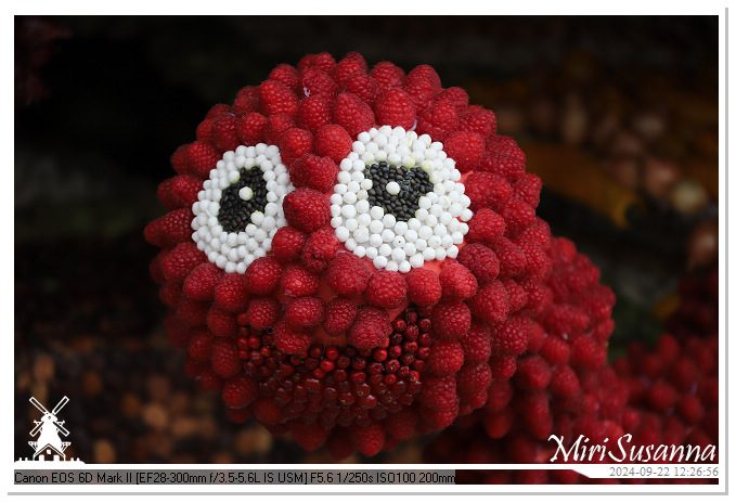 Fruitcorso Tiel 2024 IMG_1299@MiriSusanna CC-BY-NC-ND Fruitcorso Tiel 2024 IMG_1299