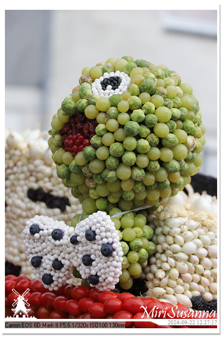 Fruitcorso Tiel 2024 IMG_1300@MiriSusanna CC-BY-NC-ND Fruitcorso Tiel 2024 IMG_1300