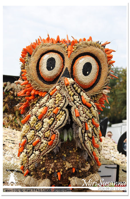 Fruitcorso Tiel 2024 IMG_1303@MiriSusanna CC-BY-NC-ND Fruitcorso Tiel 2024 IMG_1303