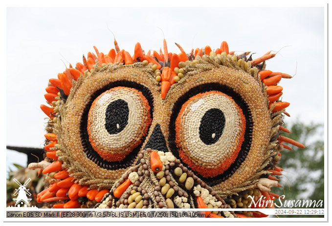 Fruitcorso Tiel 2024 IMG_1309@MiriSusanna CC-BY-NC-ND Fruitcorso Tiel 2024 IMG_1309