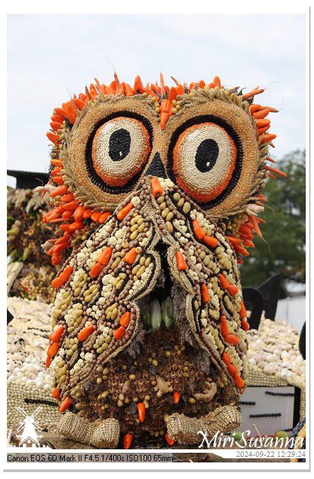 Fruitcorso Tiel 2024 IMG_1310@MiriSusanna CC-BY-NC-ND Fruitcorso Tiel 2024 IMG_1310