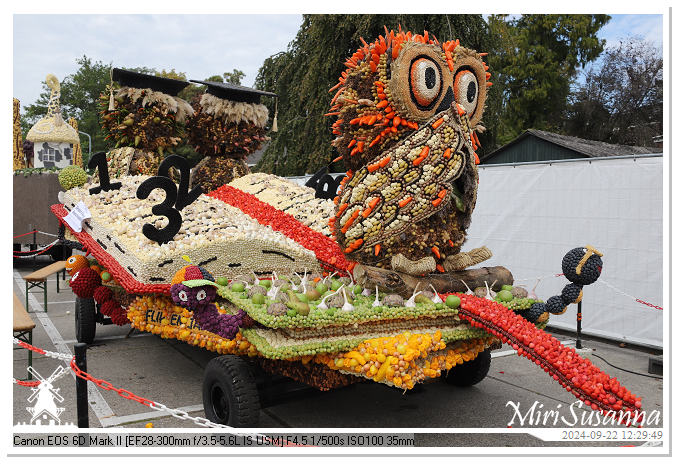 Fruitcorso Tiel 2024 IMG_1311@MiriSusanna CC-BY-NC-ND Fruitcorso Tiel 2024 IMG_1311