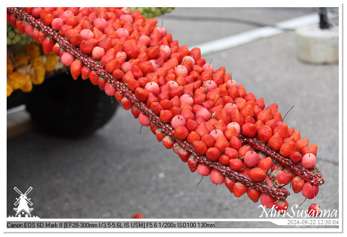 Fruitcorso Tiel 2024 IMG_1312@MiriSusanna CC-BY-NC-ND Fruitcorso Tiel 2024 IMG_1312