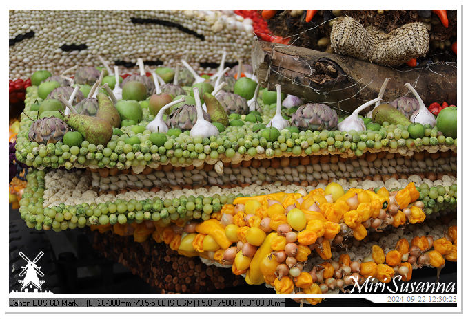 Fruitcorso Tiel 2024 IMG_1313@MiriSusanna CC-BY-NC-ND Fruitcorso Tiel 2024 IMG_1313