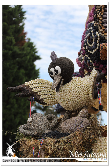 Fruitcorso Tiel 2024 IMG_1316@MiriSusanna CC-BY-NC-ND Fruitcorso Tiel 2024 IMG_1316