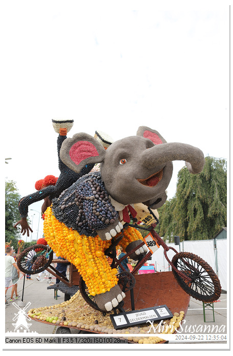 Fruitcorso Tiel 2024 IMG_1323@MiriSusanna CC-BY-NC-ND Fruitcorso Tiel 2024 IMG_1323