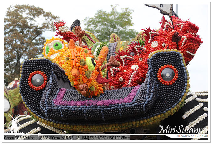 Fruitcorso Tiel 2024 IMG_1325@MiriSusanna CC-BY-NC-ND Fruitcorso Tiel 2024 IMG_1325