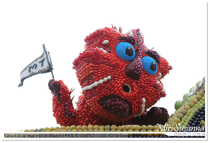 Fruitcorso Tiel 2024 IMG_1328@MiriSusanna CC-BY-NC-ND Fruitcorso Tiel 2024 IMG_1328