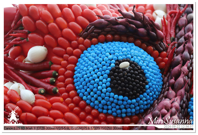 Fruitcorso Tiel 2024 IMG_1330@MiriSusanna CC-BY-NC-ND Fruitcorso Tiel 2024 IMG_1330