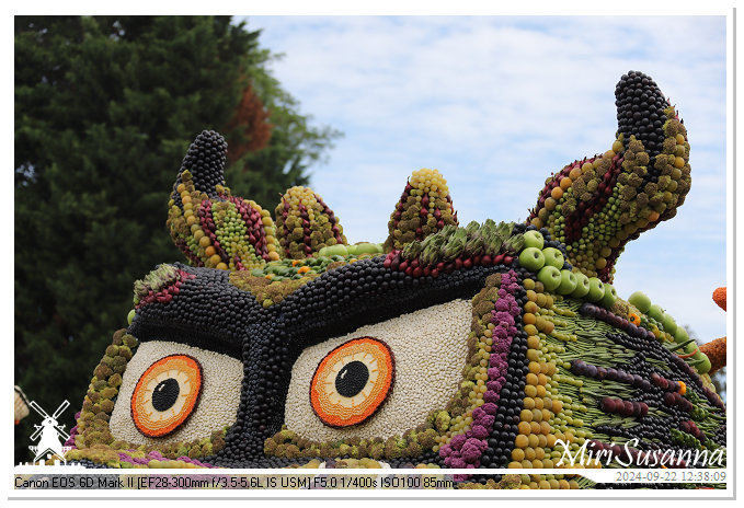 Fruitcorso Tiel 2024 IMG_1333@MiriSusanna CC-BY-NC-ND Fruitcorso Tiel 2024 IMG_1333