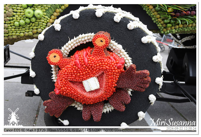 Fruitcorso Tiel 2024 IMG_1334@MiriSusanna CC-BY-NC-ND Fruitcorso Tiel 2024 IMG_1334